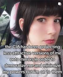 The Chaser July 9th, 2022 Trans person likely upended whole life to gain  advantage in volleyball competition, reports idiot