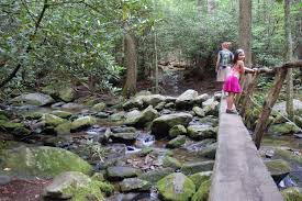 Gatlinburg east / smoky mountain koa offers excellent camping amenities to its guests. Cosby Campground Hennacornoeli Days