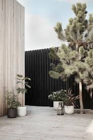 Minimalist Garden With Pretty Planting Garten Inspiration Terasse Minimalist Garden Outdoor Gardens Modern Garden