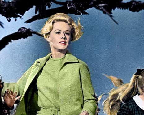 The Birds | The Guardian