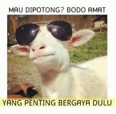  10 Meme Tingkah Lucu Kambing Kurban Saat Mau Dipotong Meme Lucu Kambing