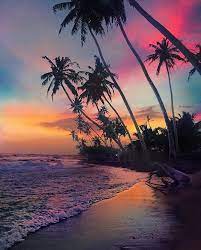 Image May Contain Sky Ocean Twilight Cloud Outdoor Nature And Water Scenery Gorgeous Sunset Beautiful Sunset