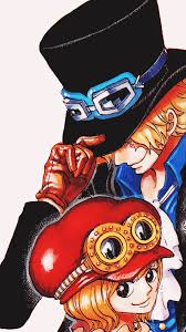Nakisara Koala One Piece Sabo One Piece One Piece