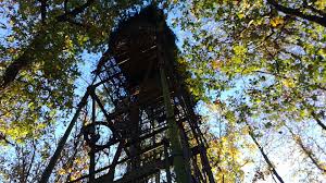 Dit zijn gewoon een beetje klassiek voorbeelden waarom de meeste mensen liever films downloaden of films online bekijken. Chasse A La Palombe En Blayais Video Dailymotion