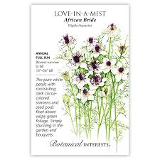 I missed the lotus flowers by a few weeks, but the pods are of interest. African Bride Love In A Mist Seeds Flowers Botanical Interests