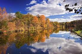 I've only heard tap water and still water, but when i took the plane a few days ago, i i actually hear still water refered to as flat water quite often in the united states, though i agree that still water is. 319 Flat River Watershed Planning Project Robert B Annis Water Resources Institute Awri Environmental Chemistry Grand Valley State University