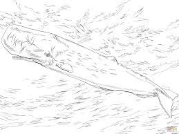 You can download or print now this coloring pages of in 600x610 resolution and 59.05 kb. Pin On Montessori