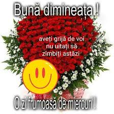 Bine ați venit pe canalul meu de youtube. 110 Miercuri Ideas Miercuri Plantare De Flori Zori De Zi