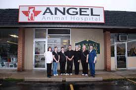 Find your local bluepearl hospital for the details. Angel Animal Hospital Home Facebook