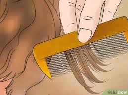 Boils commonly develop because bacteria have infected hair follicles, which are the small openings that hair grows from. 3 Ways To Get Rid Of Lice With Orange Juice Wikihow