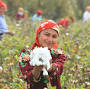 tajikistan women from eca.unwomen.org