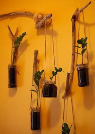 Las plantas colgantes carecen de tallos erguidos capaces de sostener a la planta por sí mismos tendiendo, de esta forma, a crecer a ras del suelo o trepando por superficies en búsqueda de la luz. Plantas Colgantes Con Botes De Cristal Reciclados Decoracion Plantas Plantas Colgantes Botes De Vidrio