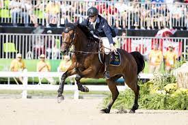 Peder fredricson riding h&m all in during nations cup first round of the equestrian european championships on august 24, 2017 in gothenburg, sweden. Peder Fredricson Zu Olympia Verschiebung Tokio Ware Das Letzte Championat Fur All In Gewesen