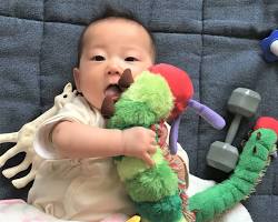 生後6ヶ月の赤ちゃんがガラガラを見る様子の画像