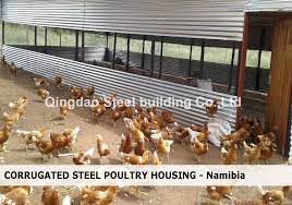 prefabricated steel structure chicken house prefab broiler coop shed in 2021 poultry house poultry farm design poultry
