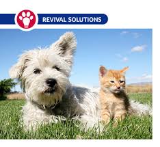 For this reason, puppies should be dewormed early in their life, most often at 2, 4, 6, 8 and 12 weeks of age. Kitten Puppy Deworming Schedule Revival Animal Health