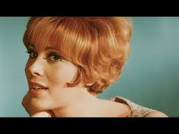 My High End Shoe Collection