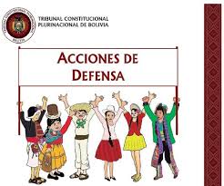 9na olimpiada científica estudiantil plurinacional boliviana. Tcp Tribunal Constitucional Plurinacional