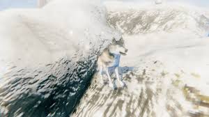 Reddit's community for all things wolf! Wolf Valheim Wiki Fandom