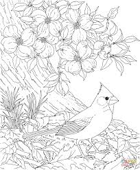 Coloring is great for developing fine motor skills, it relieves stress, and improves focus. Cherry Blossom Coloring Pages Coloring Home