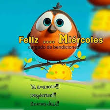 feliz miercoles