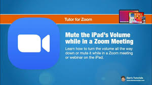 How To Adjust Microphone Volume In Zoom - Shure Asia Pacific