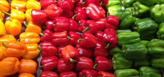 Image result for Capsicum annuum