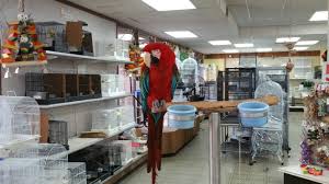 Discover nearby pet shops near you with yellowpages.ca's complete local business listings. Best Pet Shops For Bird Owners In Oc Cbs Los Angeles