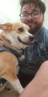 Dog Wearing Funny Costumes