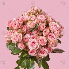 Maybe you would like to learn more about one of these? Pastel Background Flowers Stock Photos Offset