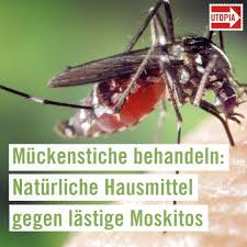 8 Wirksame Hausmittel Um Muckenstiche Zu Behandeln In 2020 Hausmittel Muckenstiche Behandeln Naturliche Hausmittel