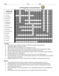 World history guided reading activity 4 1, the seagull reader stories joseph kelly, Cell Organelle Crossword Puzzle