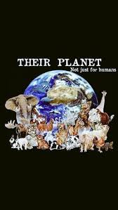 Pin By Sangeeta Bastodkar On Snuggle Bugs Animal Kingdom Fam Animals Beautiful Animal Quotes Save Animals