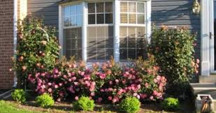 Pin By Norma Brown On Backyard Ideals Backyard Garden Design Landscaping With Roses Backyard Garden Layout