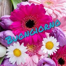 Buongiorno Primavera 2019 Nuove Immagini Da Scaricare Gratis Per Whatsapp E Facebook Grazie Per Aver Visitato Il Buongiorno Buongiorno Immagini Immagini