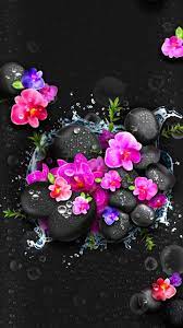Pink Black Thursday Mystery Wallpaper Free Themes Samsung Oppo Vivo Flowers Photography Flower Phone Wallpaper Beautiful Flowers