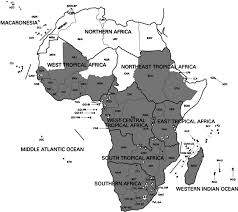 Image result for Tricalysia semidecidua