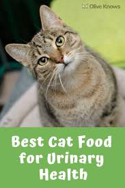 Best Cat Food For Urinary Health Best Cat Food