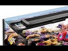 Fluval Sea Marine Reef Performance Led Lighting Youtube