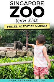 Singapore Zoo A Super Fun Video Walkthrough Guide Where You Can See The Top Attractions At One Of The Be Singapore Zoo Singapore Travel Singapore Attractions
