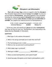 Chloroplasts And Mitochondria 9th 10th Grade Worksheet Biology Worksheet Worksheets Lesson Plans