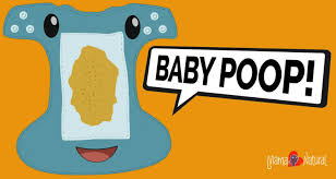 baby poop whats normal what aint with pictures