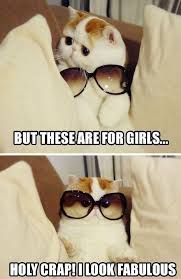 Black And White Glasses Meme Funny Cat Wearing Sun Glasses Click On Picture To See More Stuff Funny Animal Pictures Cute Animals Cute Funny Animals