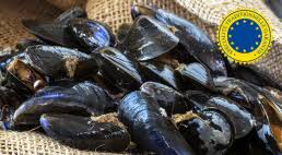 Comment conserver et manger des moules ? La Moule De Bouchot Une Specialite Traditionnelle Garantie Ministere De L Agriculture Et De L Alimentation