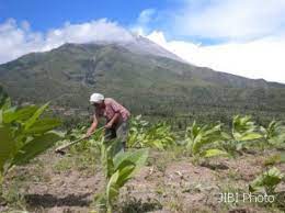 Penyedia jasa pemandu wisata (tour guide). Kehidupan Masyarakat Di Sekitar Lereng Gunung Berapi Kompasiana Com