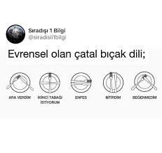 Elif Adli Kullanicinin Bilgi Panosundaki Pin Ilahm Veren Alintilar Bilgelik Alintilari Ilham Veren Alintilar