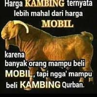 Gambar untuk mewarnai tema qurban. Meme Jenaka Jelang Idul Adha