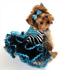 Fancy Dog Clothes Designer Custom Made Dog Clothing Tinkerbell S Closet Dog Couture Noelitoflow Rep Fancy Dog Fancy Dog Clothes Dog Clothes Patterns