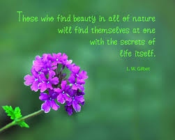 At One With Nature Nature Quotes One With Nature Nature
