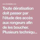 Toute Deratisation Doit Passer Par L Etude Des Acces Aux Rongeurs Afin De Les Boucher Plusieurs Techniques Sont Utilisees A Cet En 2020 Rat Souris Rongeur Deratiseur